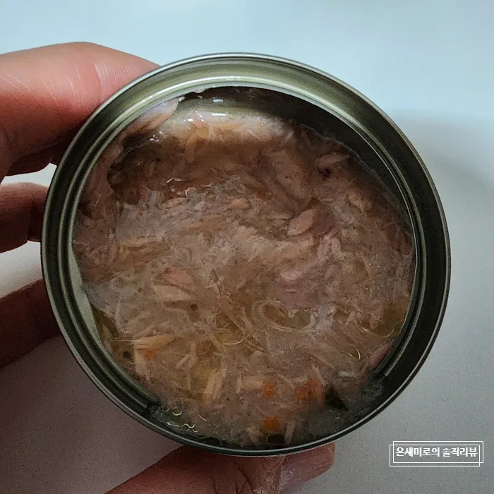 고양이 주식캔, 강아지 급여해도 될까? 2026년 총정리 3