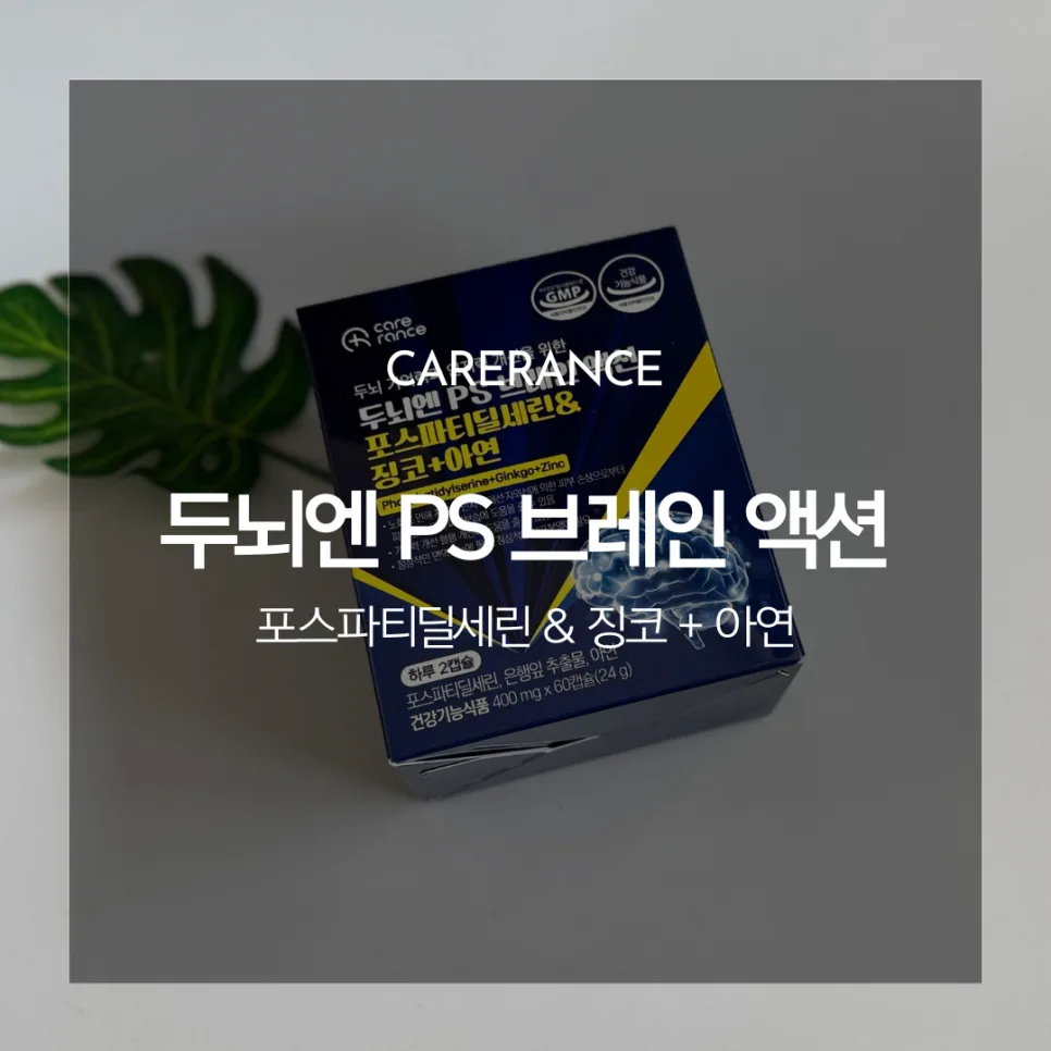 기억력 영양제 2026년 선택 가이드: 포스파티딜세린 효과와 복용법 — 건강·의학 — catharsis486
