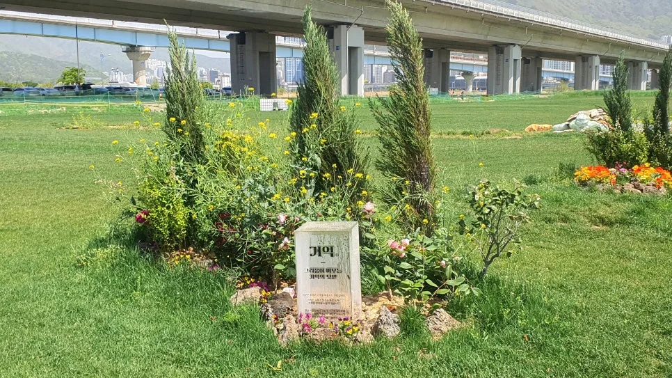 내 보험 제대로 알기: 2026년 보장 점검 가이드 2