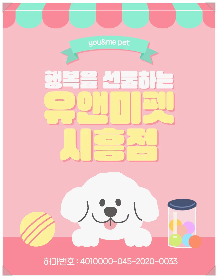 2026년 수원 말티즈 분양, 유앤미펫 실제 경험담과 선택 가이드
