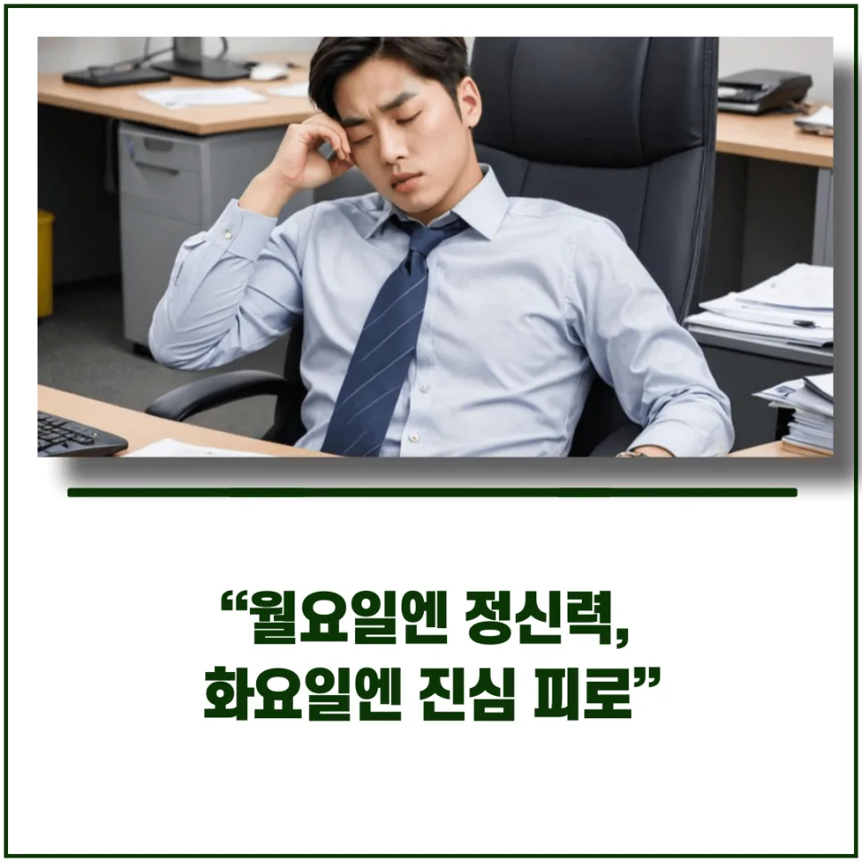 화요일 피로감, 과학적 원인과 극복법 2026년 총정리 2