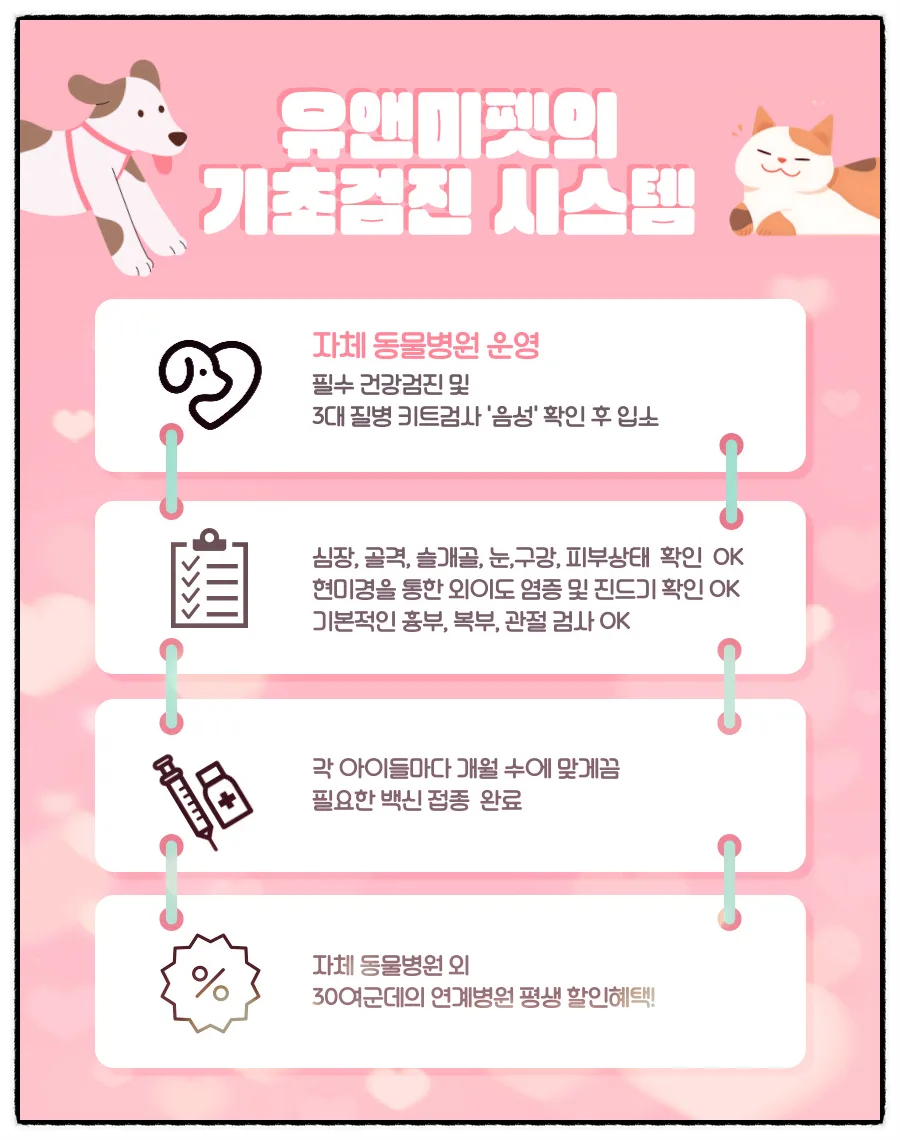 말티푸 분양 2026: 수원 영통 유앤미펫 방문 후기 및 건강한 반려견 찾는 법 2