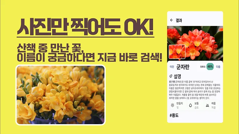 꽃 이름 AI 인식 앱 3가지 비교: 사진 한 장으로 식물 박사 되기 — IT·테크 — by 1picklink