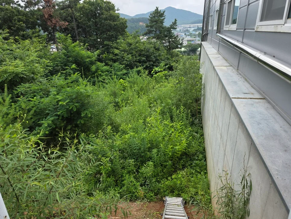 광주 조경 시공 2026: 국가기술자격증 보유 전문가에게 맡기는 이유 3