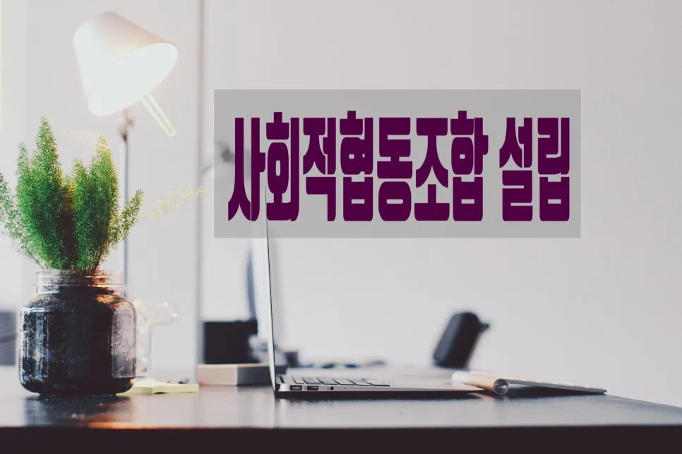 사회적협동조합 설립 절차 2026: 인가 신청부터 사업 계획까지 — 비즈니스·경제 — 0413kgs