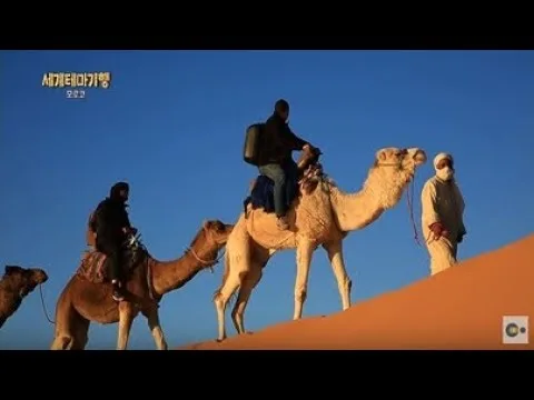2026년 사막 낙타 투어: 잊지 못할 특별 경험 가이드 3