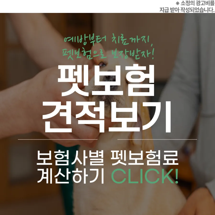 2026년 반려동물 실비보험, 꼭 필요한 이유와 비교 설계 가이드