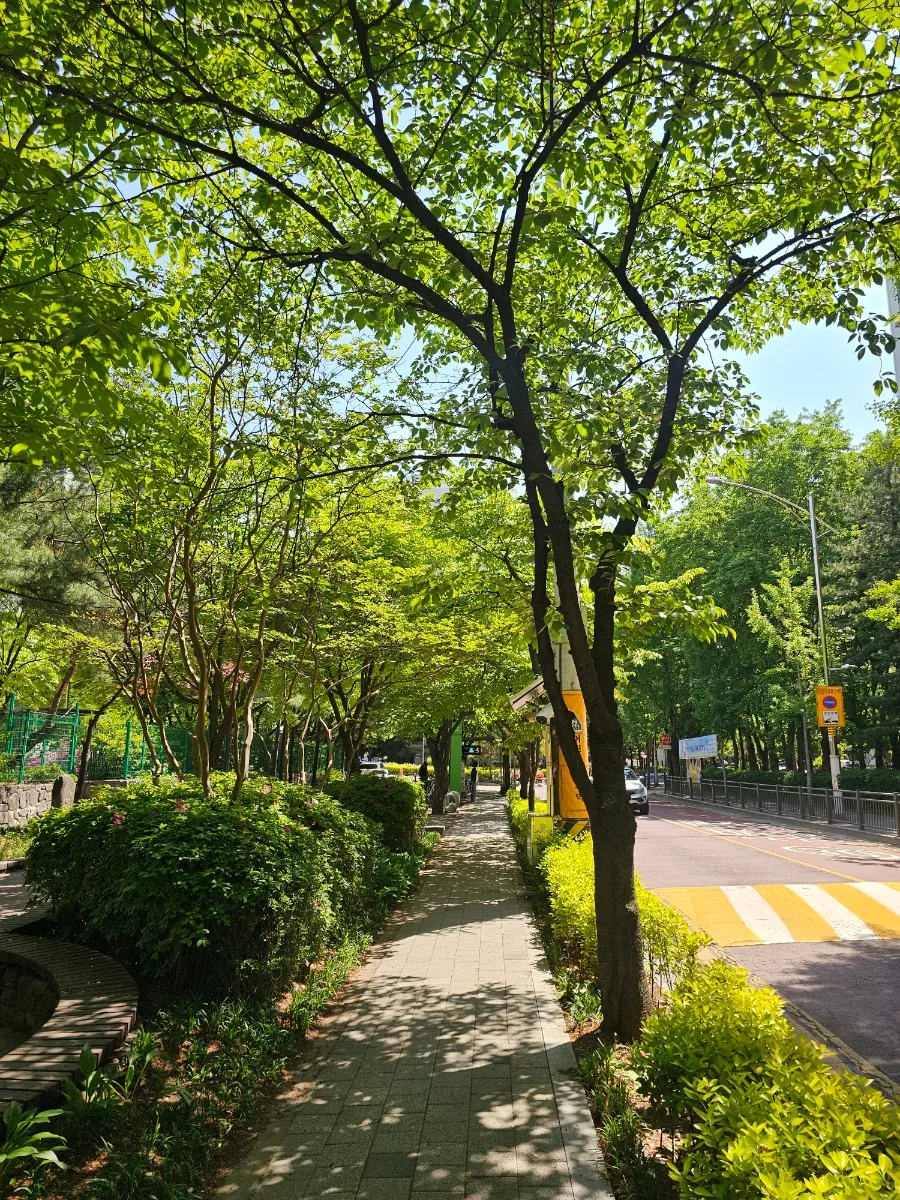 33평 구축 아파트 인테리어 턴키 견적 비교 2026년 총정리 2