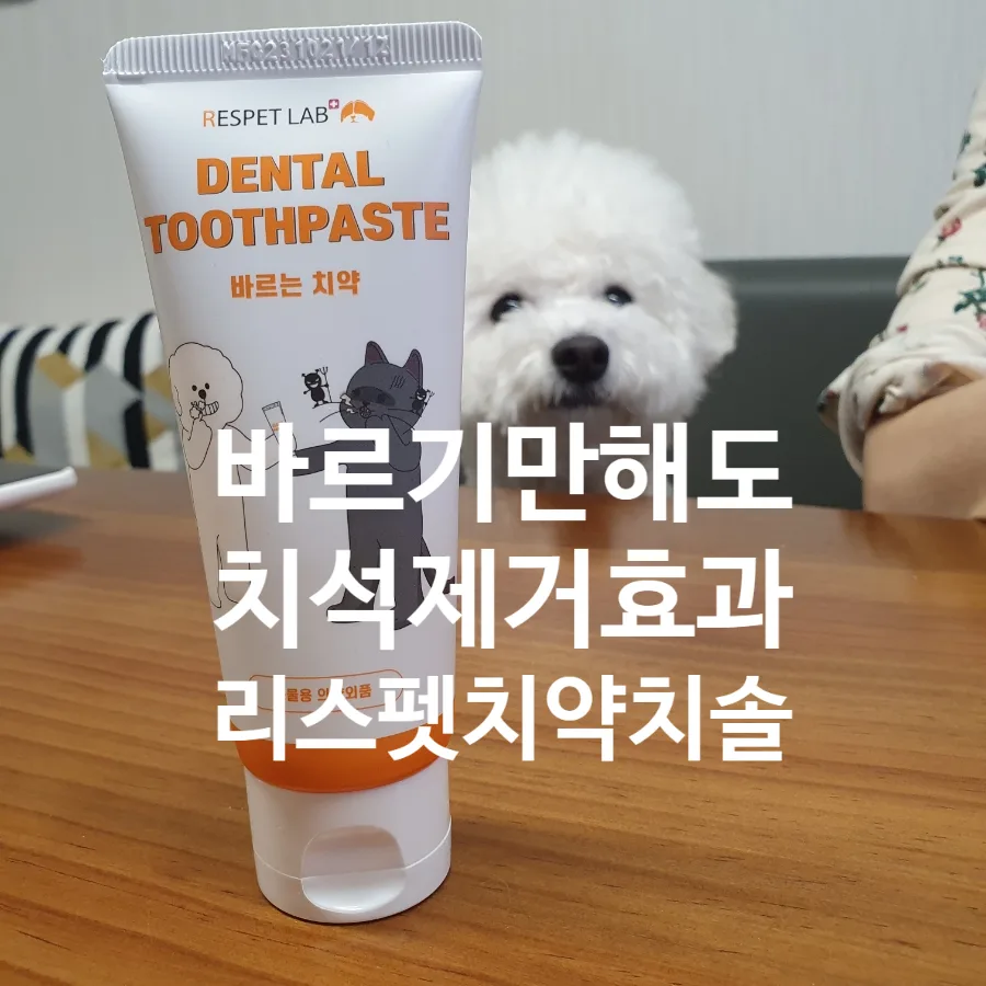 강아지 치석 제거, 2026년 바르는 치약 효과와 사용법 총정리 — 반려동물 — designerhsb