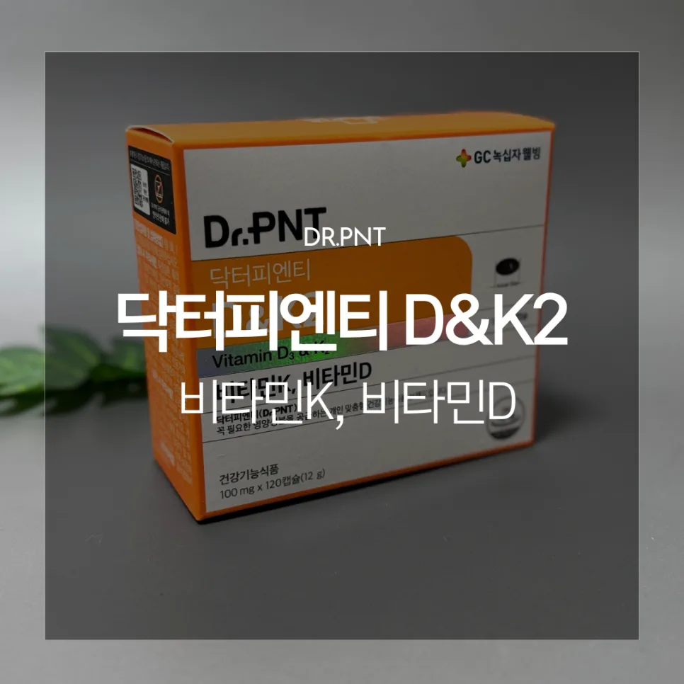 뼈 건강 필수템 D&K2: 고함량 비타민D 2026년 섭취 가이드 — 건강·의학 — catharsis486