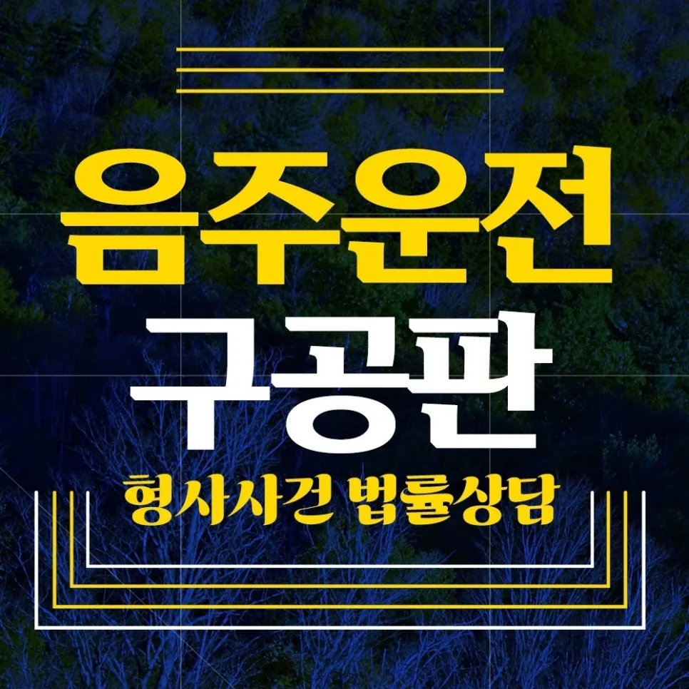 음주운전 불구속 구공판 2026: 변호사 선임, 대응 전략 총정리 — 사회·시사 — dnjsrb791 1