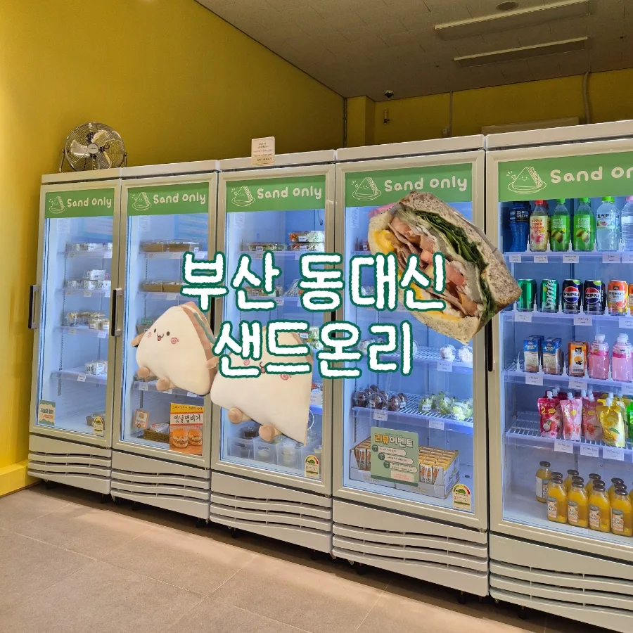 동아대병원 샐러드·샌드위치 맛집: 2026년 가성비 점심 추천 — K-푸드·맛집 — itisjin1125