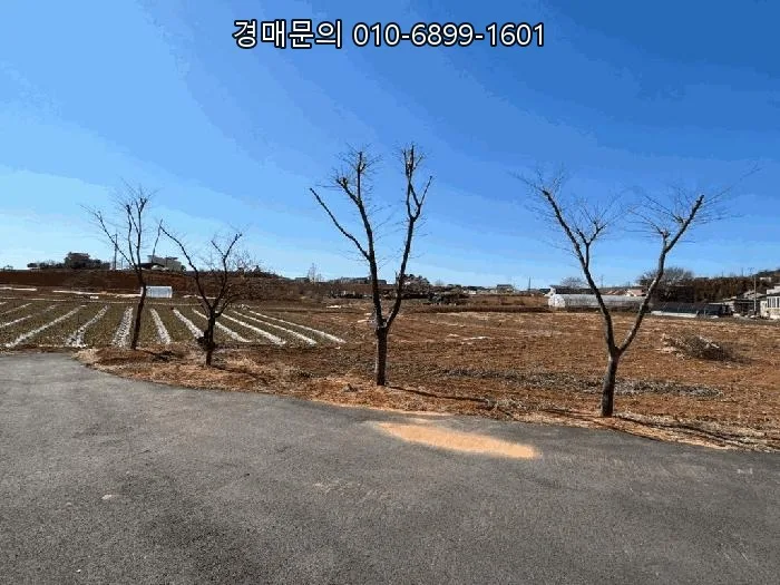 태안 근린시설 경매: 미래 가치 높은 투자 기회 분석 2026 2