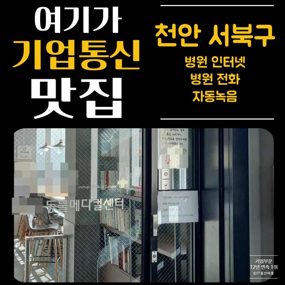동물병원 자동 녹음, 레코드온으로 고객 관리 2026년 업그레이드 — 반려동물 — businessplus070