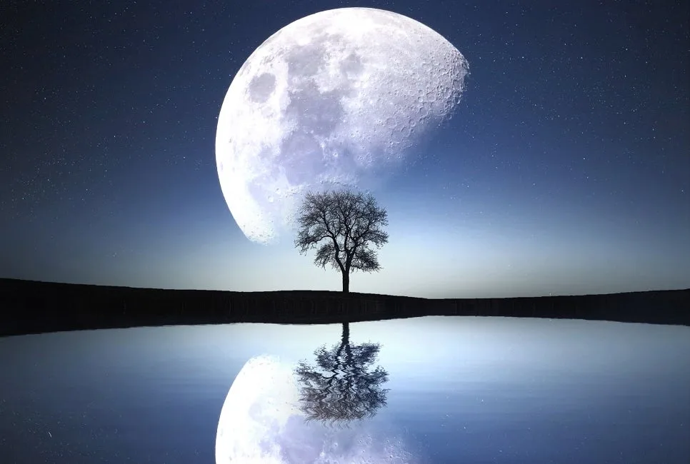 영어 빈도 부사 2026: Sometimes, Often, Occasionally 차이점 총정리 3