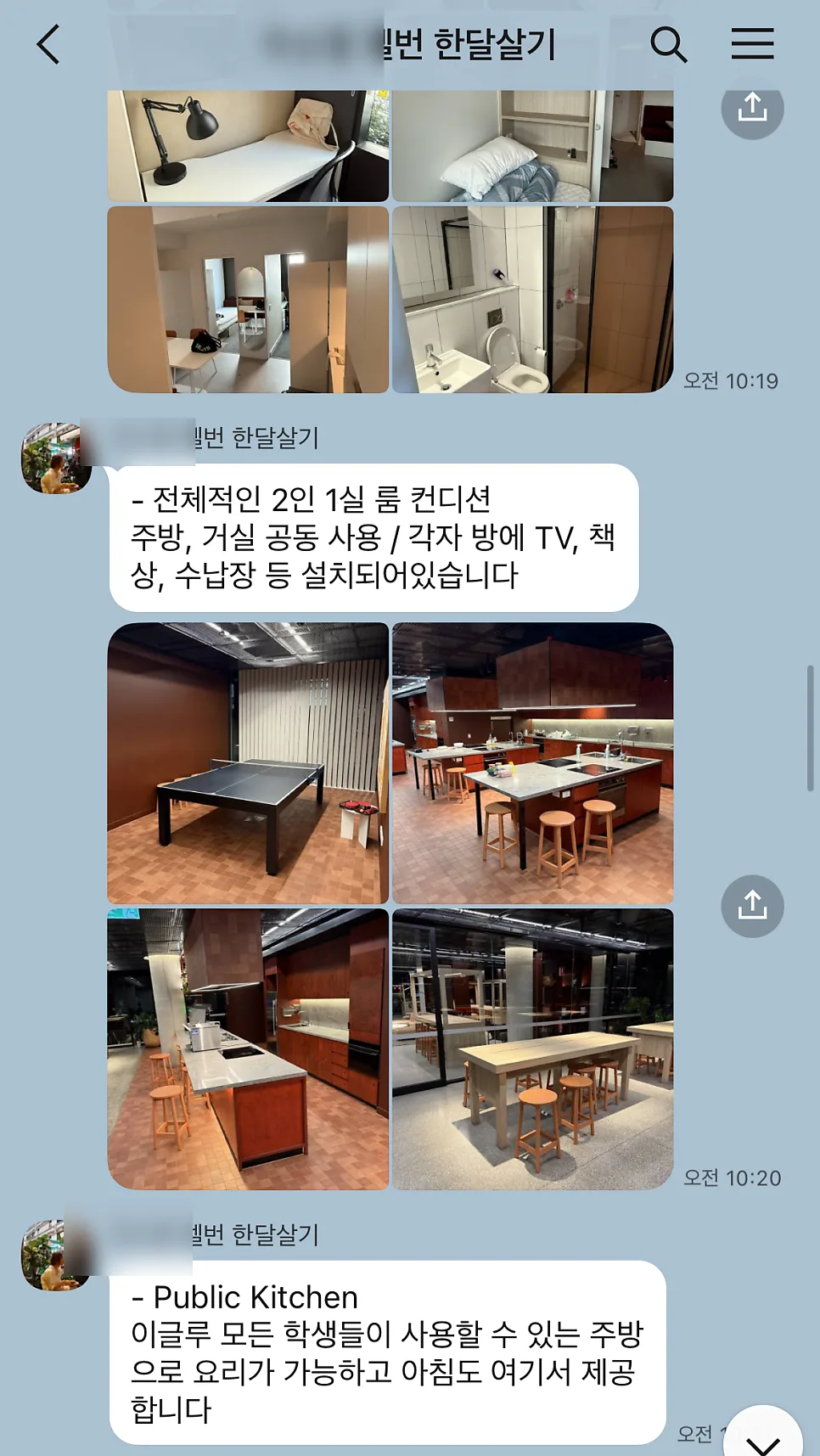 멜버른 한 달 어학연수 후기: 임팩트 어학원 & 이글루 기숙사 2026 3