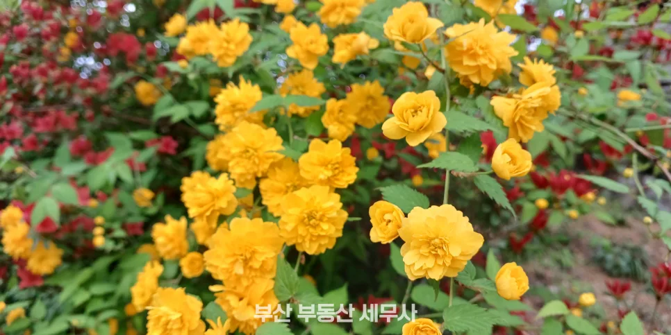 12억 초과 고가주택 양도세, 2026년 절세 전략 총정리 3