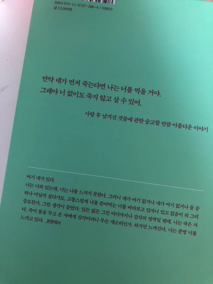 최진영 '구의 증명' 로맨스 소설, 충격적 사랑 이야기 2026년 분석 3