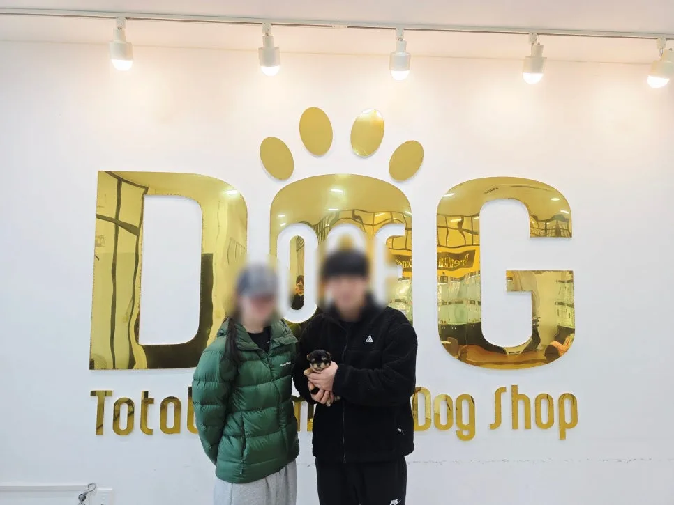 희귀견 요크셔테리어 입양 후기 2026: 까미와의 특별한 만남 2