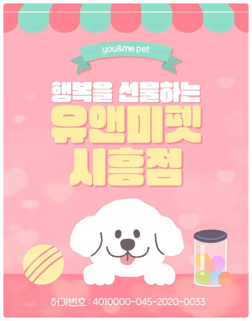 2026년 분당 말티즈 분양, 유앤미펫 경험 기반 건강한 반려견 찾는 법