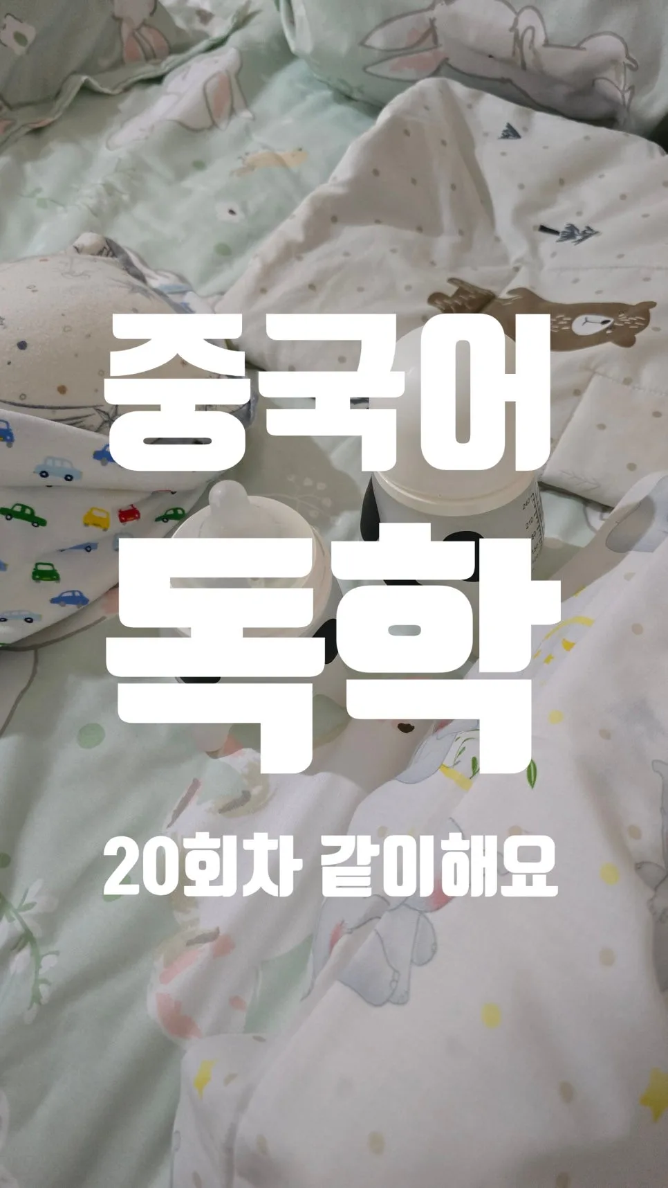 중국어 숫자 100까지 완벽 마스터 2026: 발음·쓰기·활용법 총정리 — 어학·외국어 — ksw8832