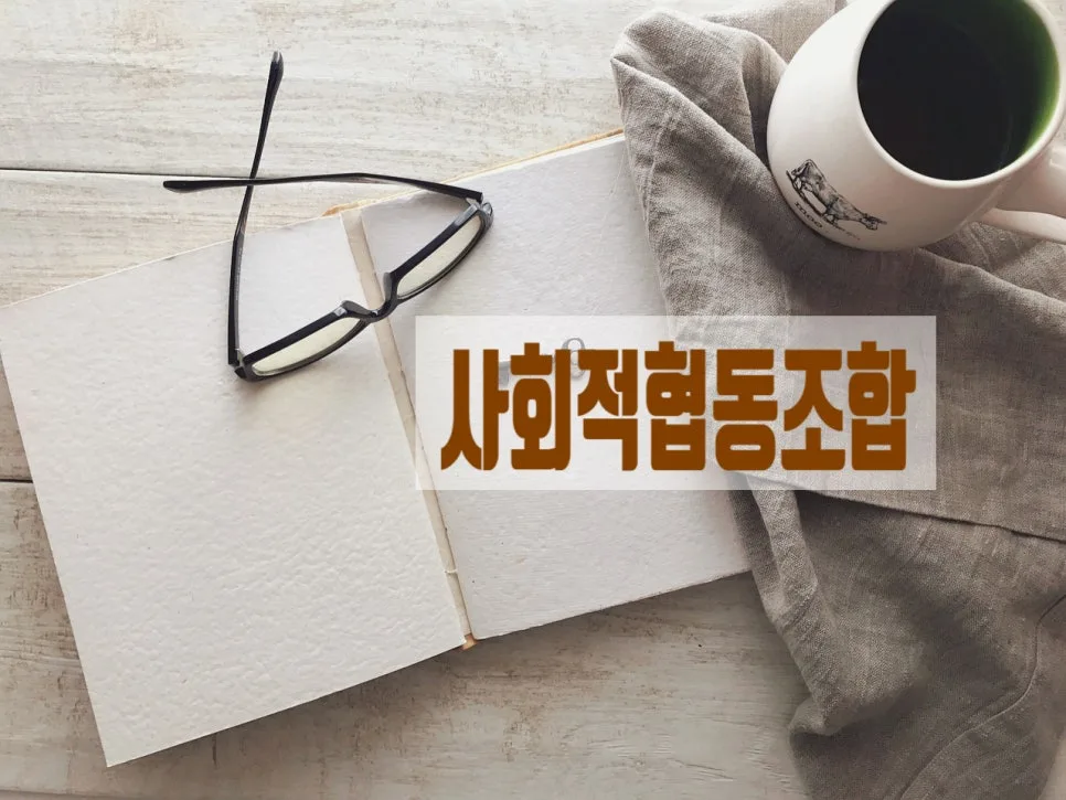 사회적협동조합 사업계획서 작성 가이드 2026: 인가 절차 완벽 분석 2