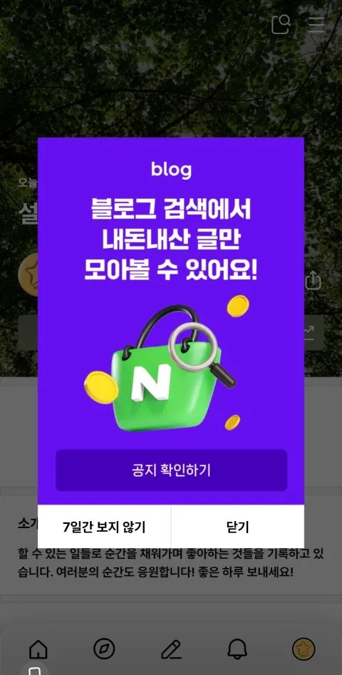 네이버 블로그 '내돈내산' 필터 2026년 사용법 완벽 정리 3
