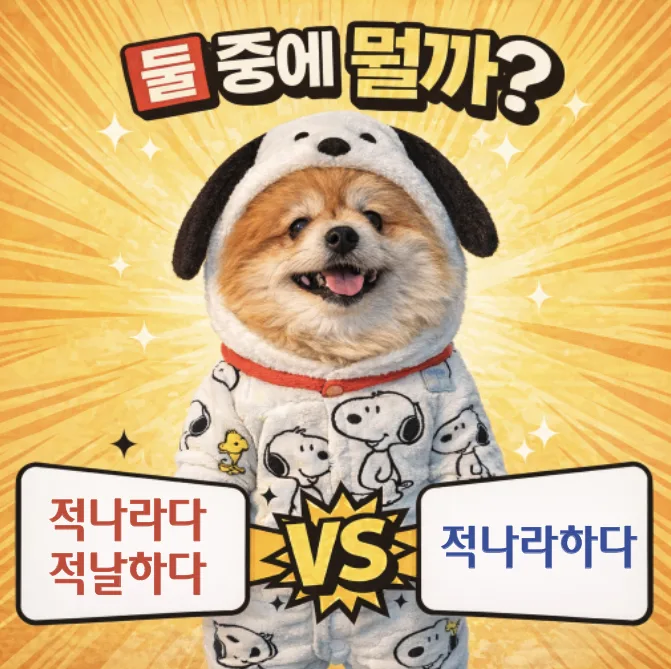 적나라하게 vs 적나라게: 2026년 올바른 맞춤법 완벽 정리 — 어학·외국어 — designalbranding