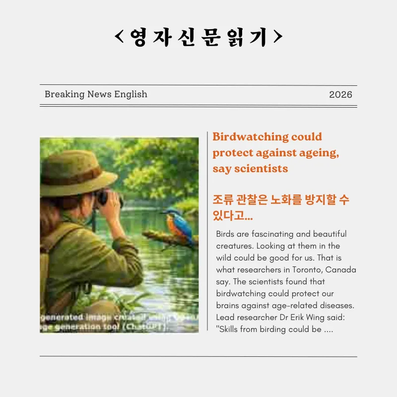 조류 관찰, 2026년 노화 방지 효과? 과학적 근거와 이점 총정리 — 건강·의학 — smartony1