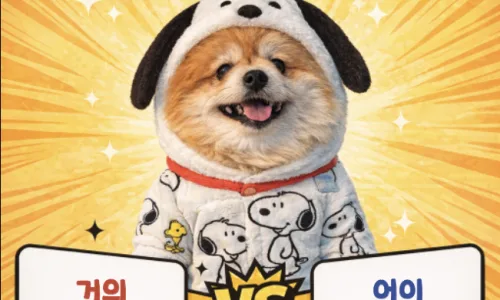 도긴개긴 vs 도진개진: 2026년, 헷갈리는 맞춤법 바로잡기 2
