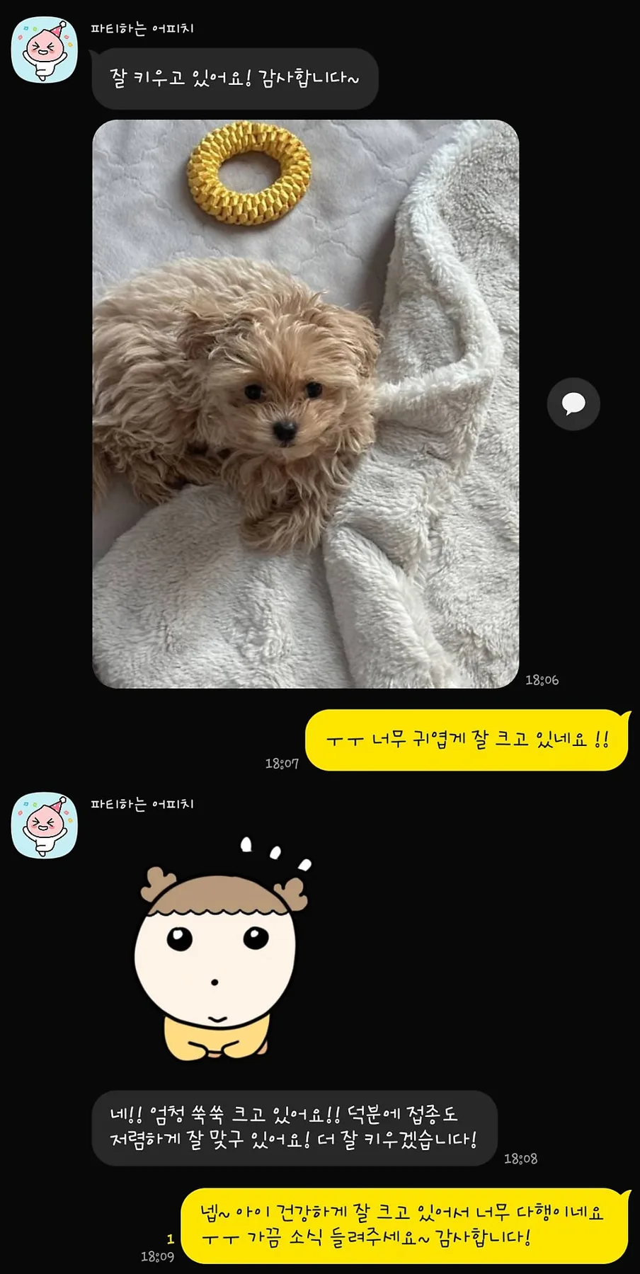 2026년 드림독 인천 강아지 분양 후기: 실제 보호자 경험담 2