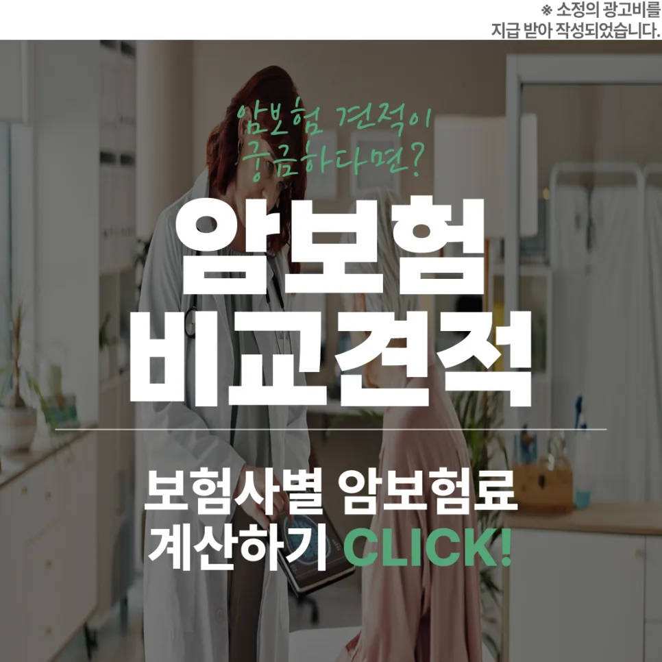비갱신 암보험 2026년, 유지 가능한 설계 핵심 총정리
