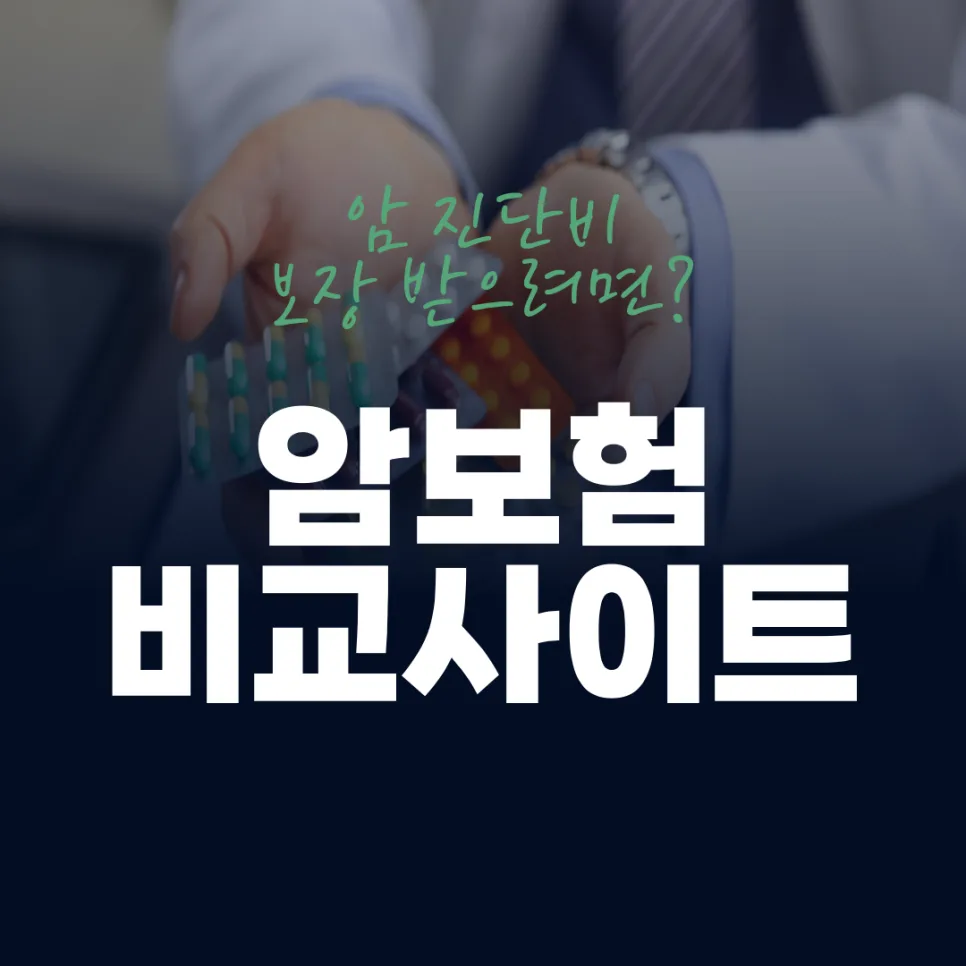 비갱신 암보험 2026년, 유지 가능한 설계 핵심 총정리 2