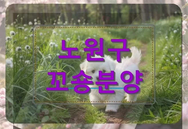노원구 꼬숑분양 현실 점검: 성공적인 계약을 위한 2026년 솔루션