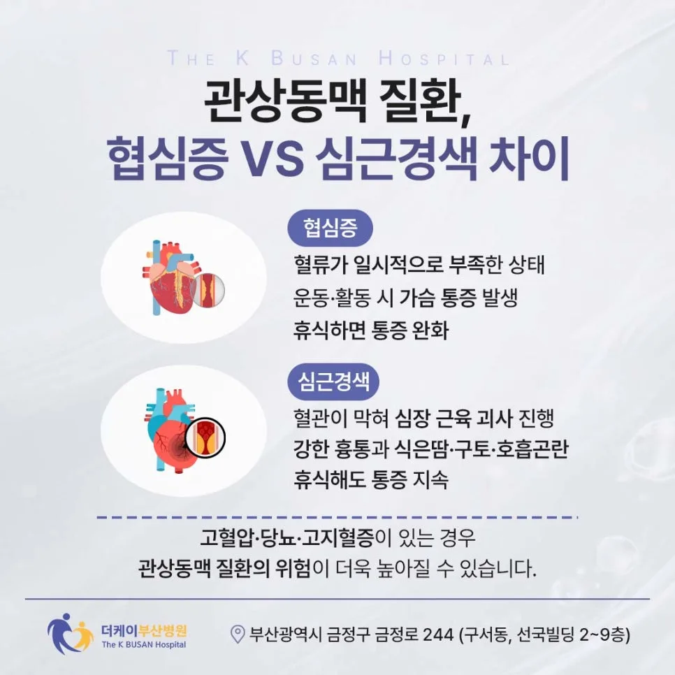 가슴 통증·두근거림, 심혈관 질환 신호 2026년 조기 진단법 2