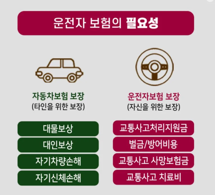 운전자보험 핵심 특약 2026: 없으면 후회할 3가지 총정리 2