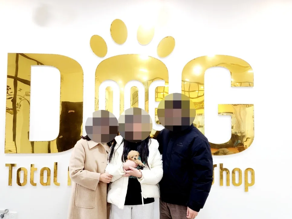 세종시 강아지 분양 2026: 말티푸 입양 후기 및 반려견 변화 2