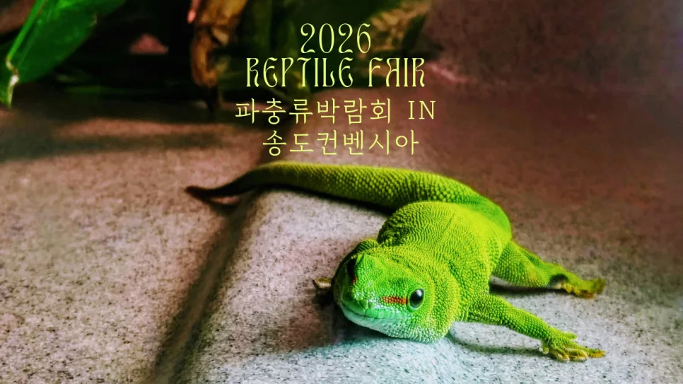 2026 송도 K렙타일페어: 파충류 박람회 일정, 입장권, 즐길 거리 완벽 가이드 — 취미 — slowpet365