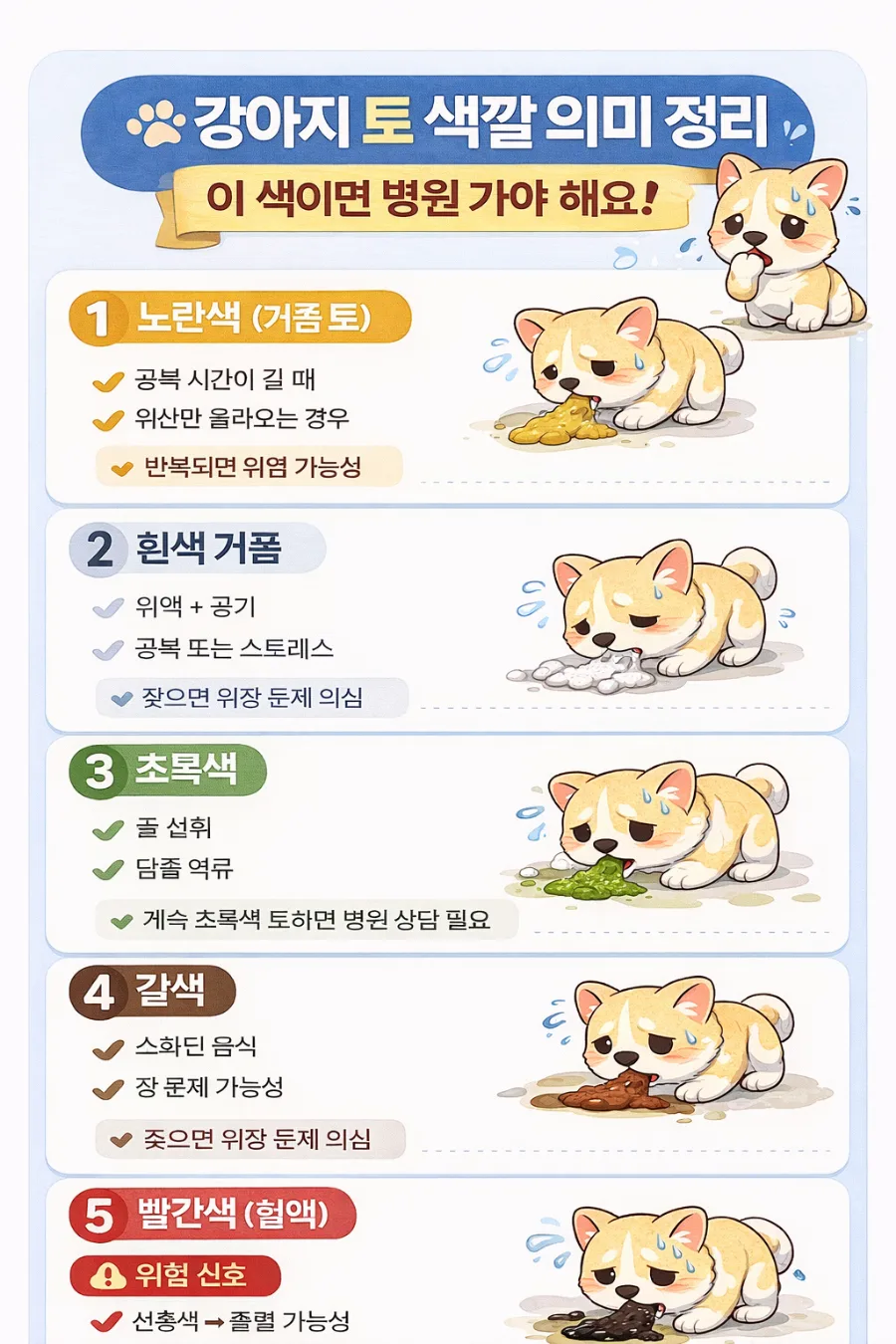 2026년 강아지 토 색깔별 의미와 응급 대처법 총정리