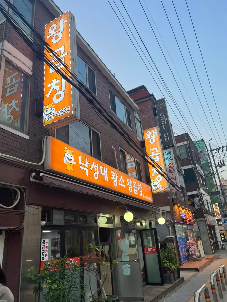 낙성대 곱창 맛집 추천: 황소 왕곱창 2026년 솔직 후기