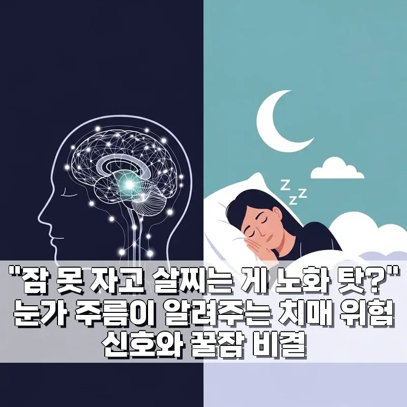 눈가 주름과 수면 부족, 치매 위험 신호일까? 2026년 최신 분석 — 건강·의학 — by 루피포차코