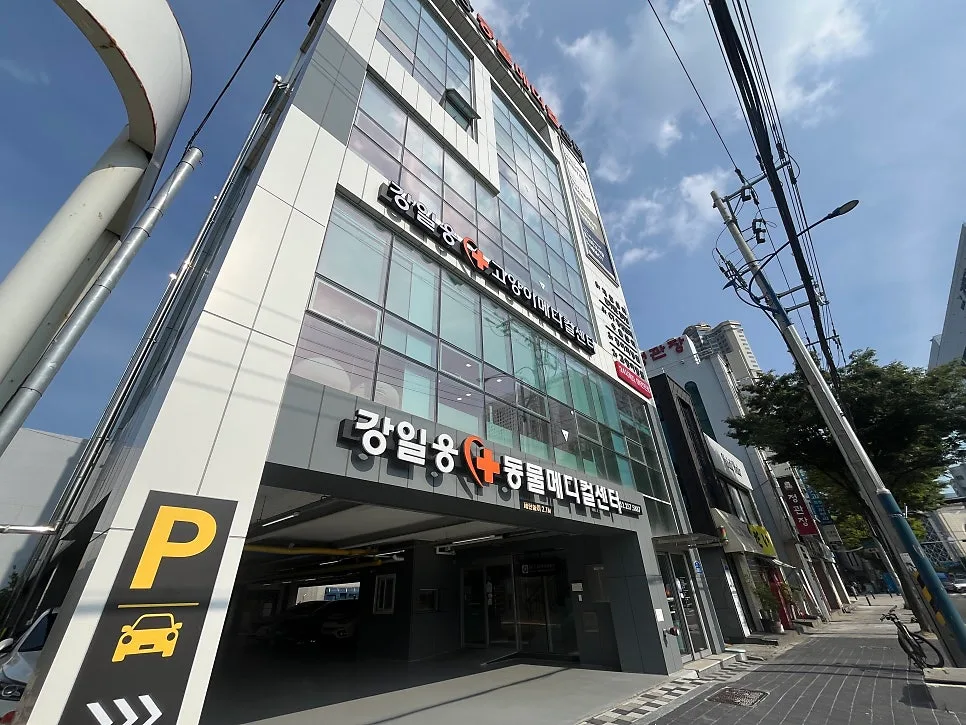울산 강아지 초음파 잘 보는 곳 2026: 강일웅동물메디컬센터 검진 후기