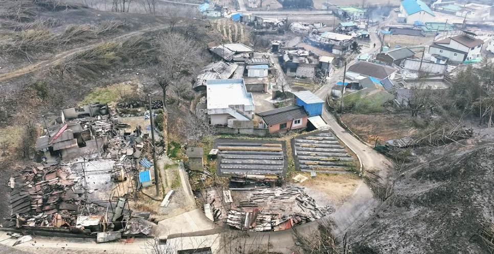 산불 원인과 예방 2026: 인간 부주의 vs 기후 변화 3