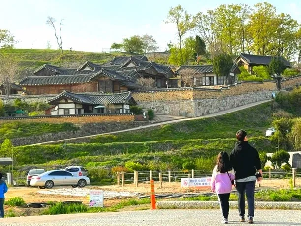 경주 양동마을 겹벚꽃 명소: 2026년 4월 여행 최적 코스 2
