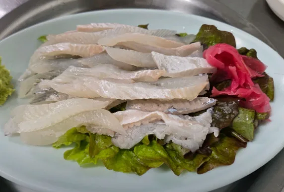 부동산 옆 횟집 2026: 가성비와 신선함의 비밀 파헤치기 — K-푸드·맛집 — kje8027