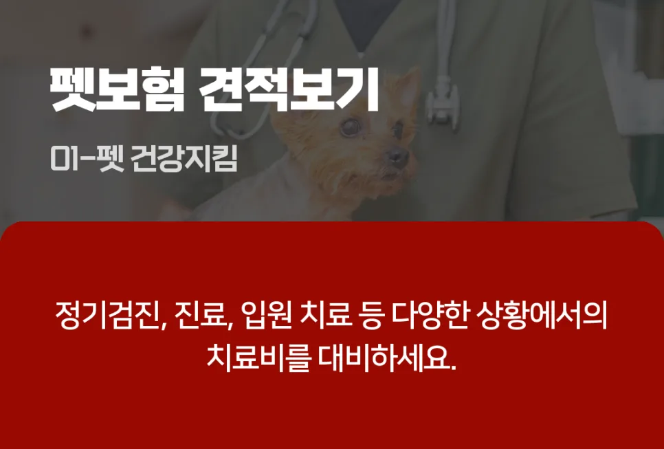 2026년 펫보험 완벽 가이드: 강아지·고양이 보험료 비교 및 필수 확인사항 2