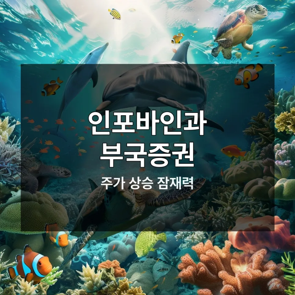 자사주 소각 대장주 2026년 투자 전략: 실제 경험자가 분석한 핵심 2