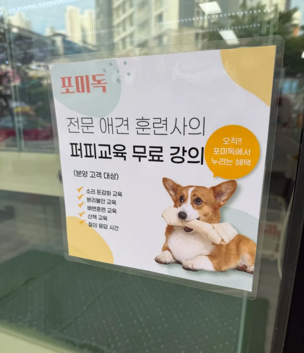 김포 강아지 분양: 포미독이 신뢰받는 이유 2026년 총정리