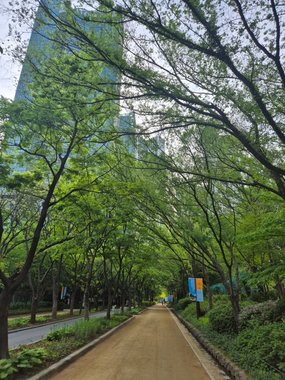 DB태아보험 2026년 가입 후기: 산모특약 & 사은품 꿀팁 총정리 — 비즈니스·경제 — zo00fy