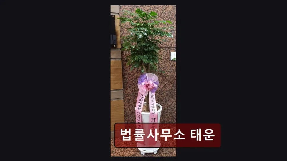 부산 개인회생, 태운 법률사무소 합리적 비용과 친절한 상담 2026